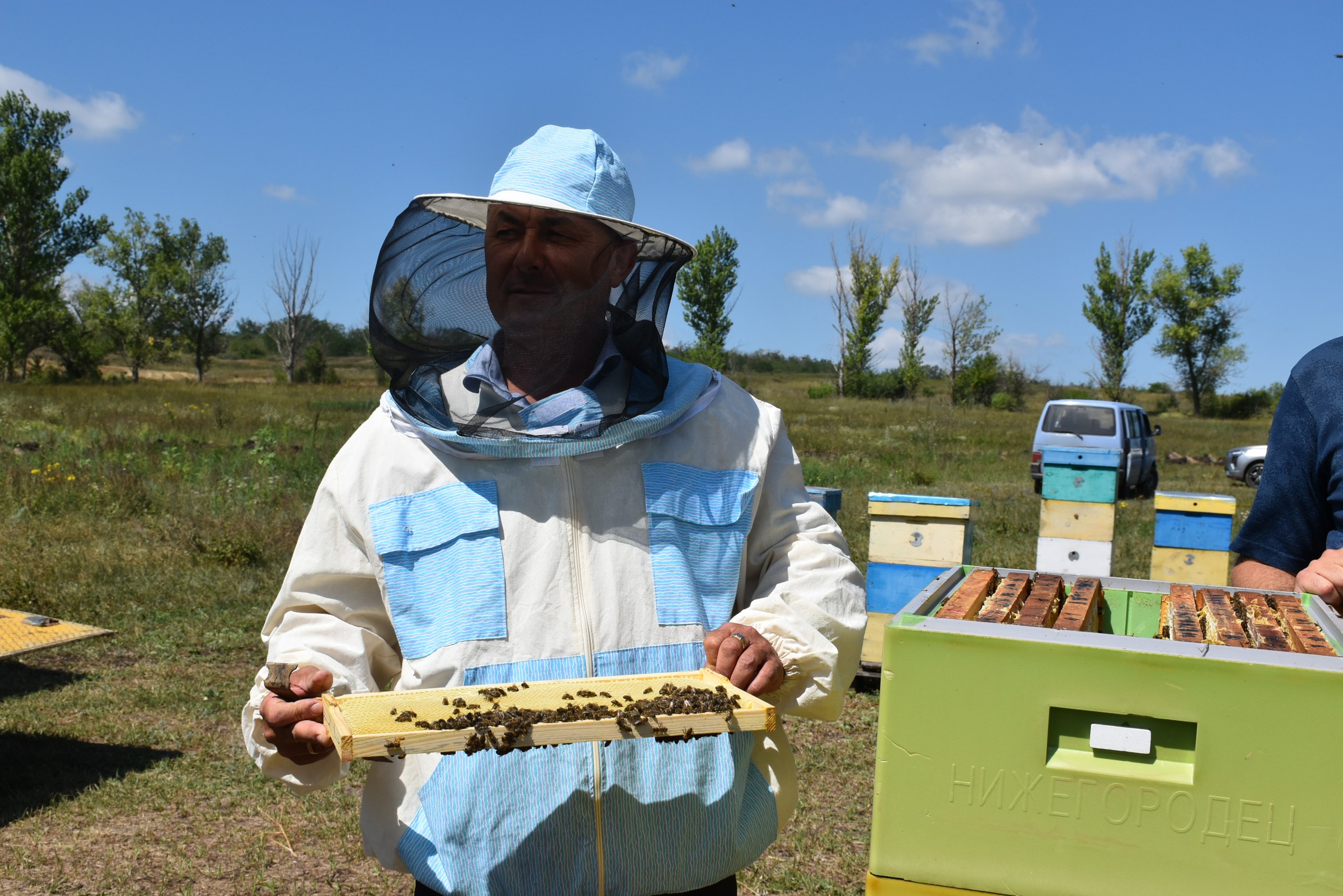 В ЛНР провели маркировку пчелосемей