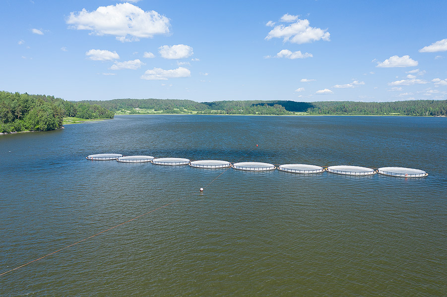 2024 год стал рекордным по страховым выплатам в аквакультуре в Карелии
