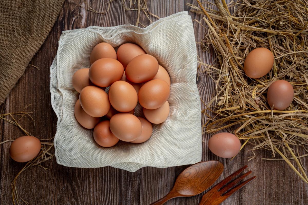 Минсельхоз России ожидает стабилизации цен на яйца в ближайший месяц