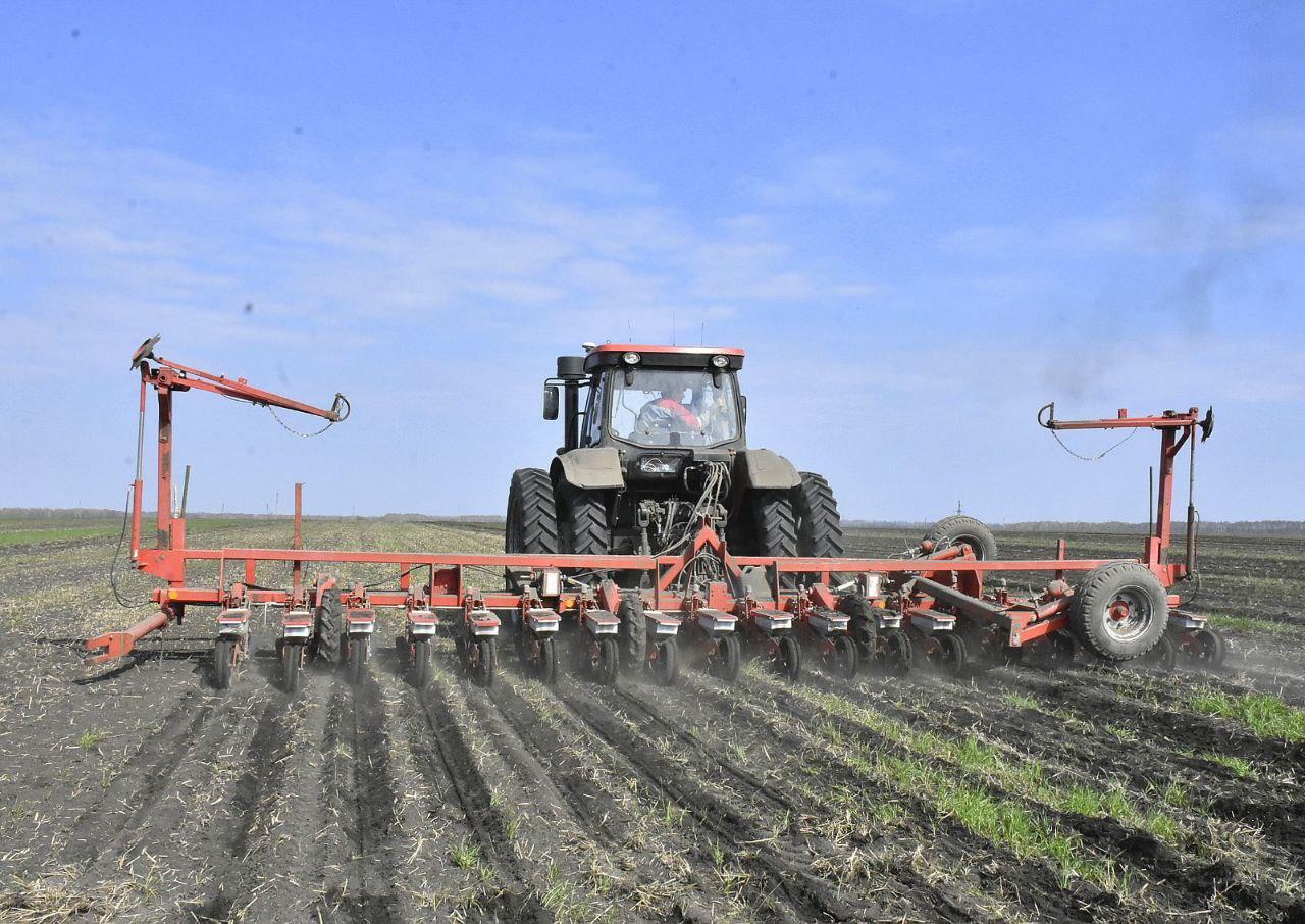 Около семи процентов площадей осталось засеять липецким аграриям