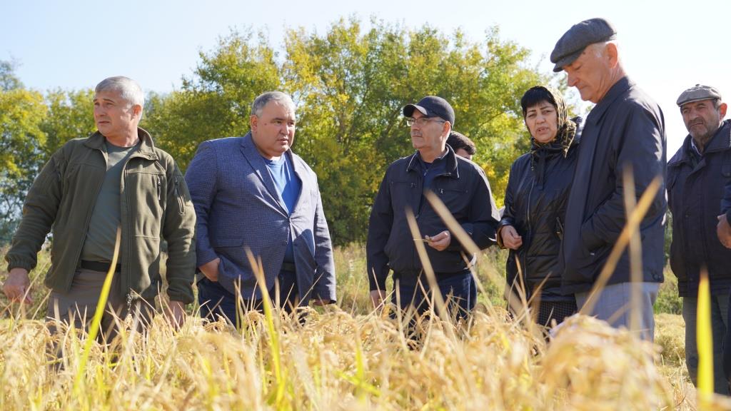 В Дагестане ознакомились с ходом уборки риса