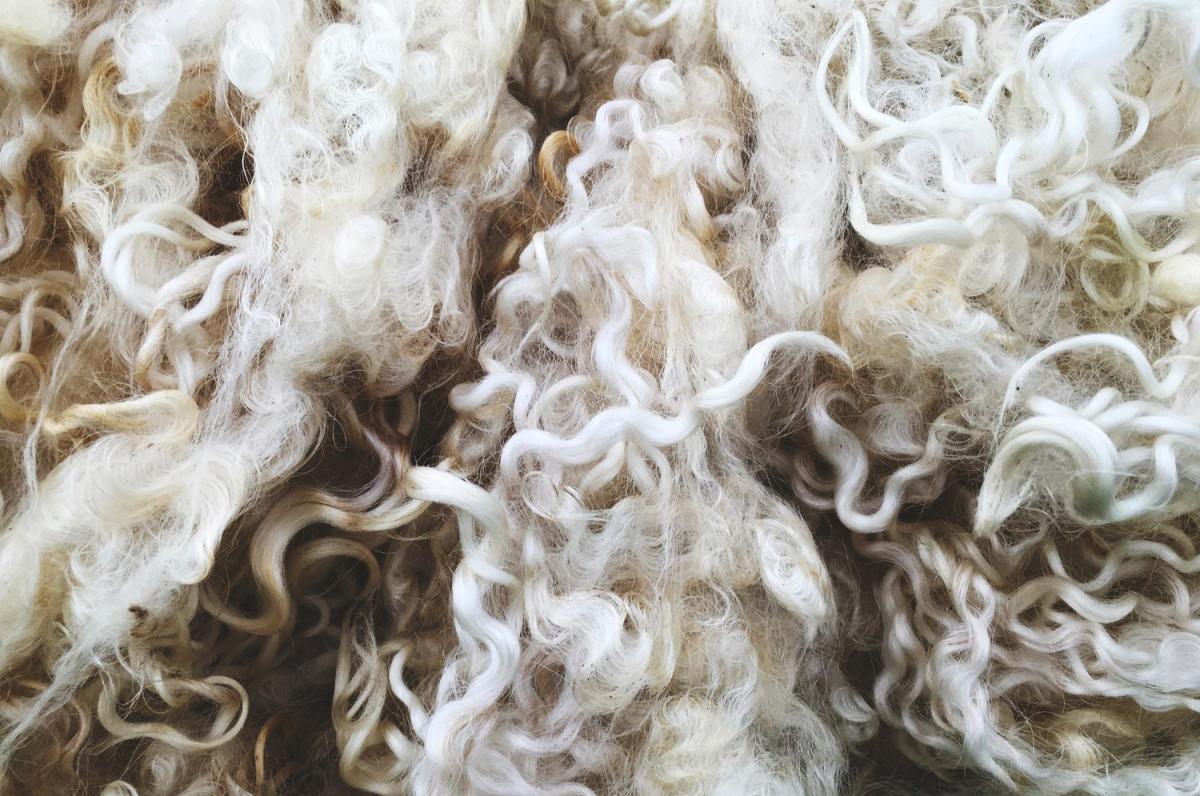 Шерсть в России может стать биржевым товаром