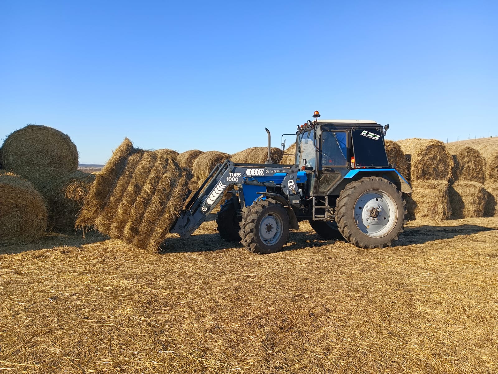 За пять лет гранты на открытие малого агробизнеса получили 77 фермеров Красноярского края 