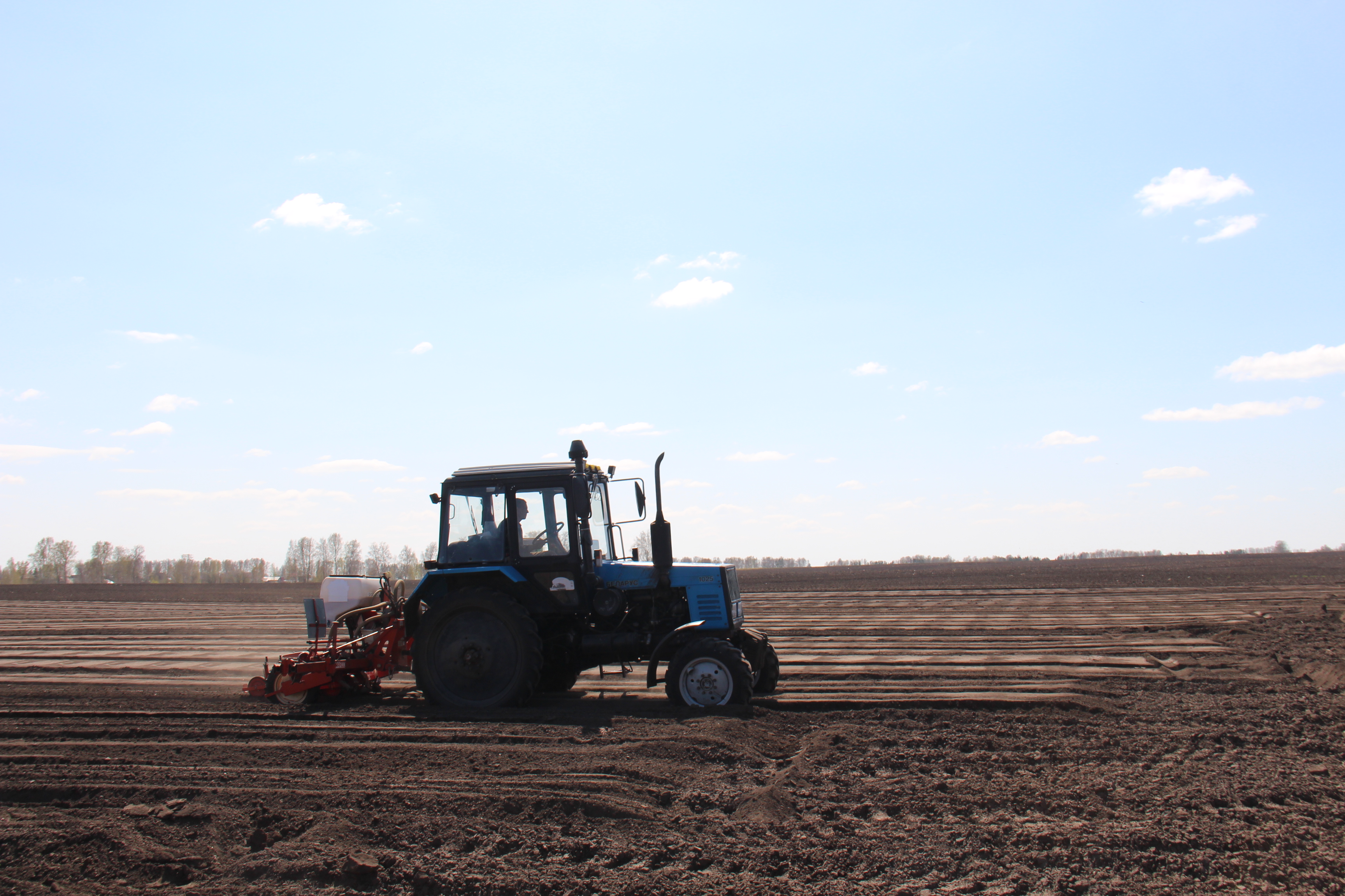 В Томской области яровой сев выполнен на 16%