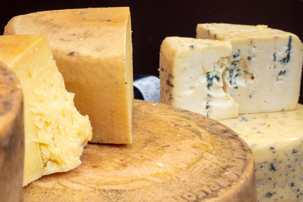 В Республике Алтай подешевели сычужные сыры и мороженая рыба 