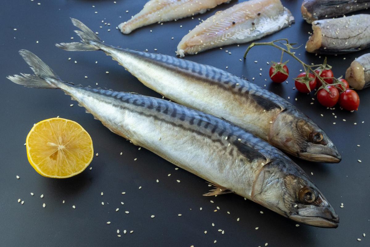 Спрос на рыбу в России стабильно растет — эксперты