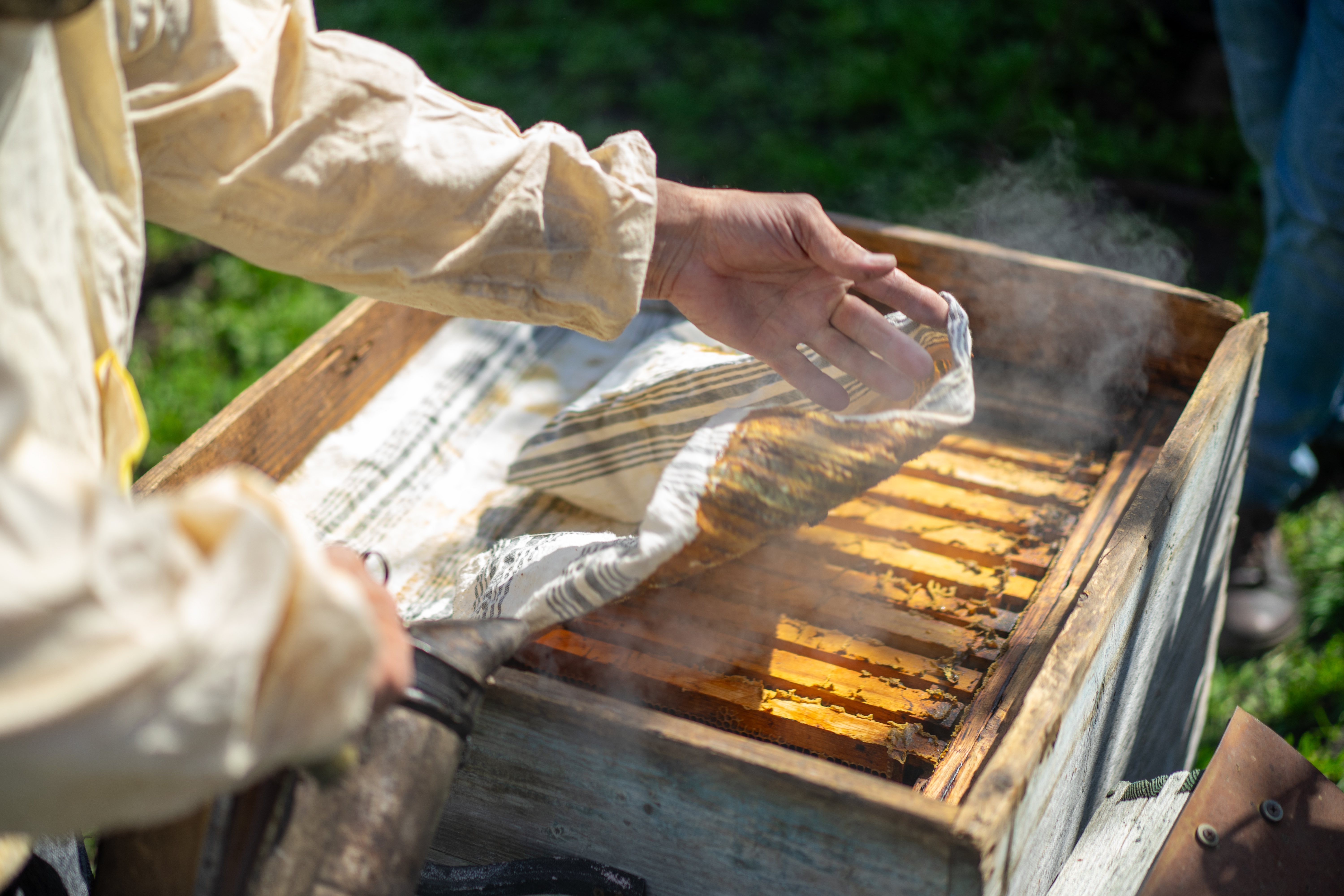 В Башкортостане прошел рейд в рамках операции «Пчела»