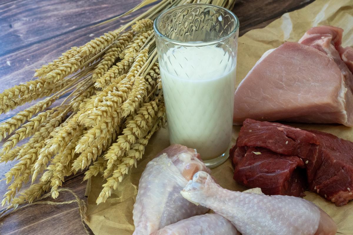 РФ и Китай обладают значительным потенциалом расширения торговли продукцией АПК — Минсельхоз