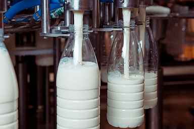 Объём реализации молока в сельхозорганизациях вырос на 6,7%