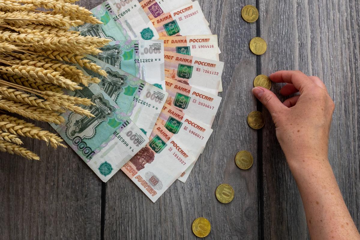 Кредитование сезонных полевых работ увеличилось на 18% — Минсельхоз