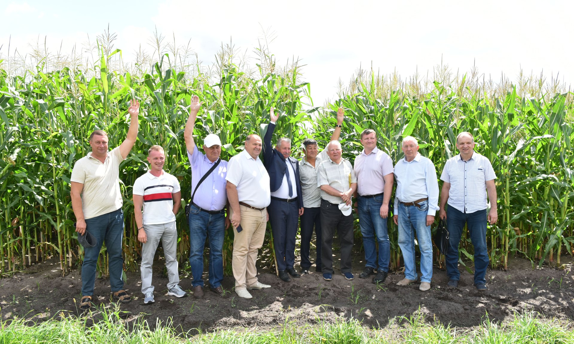 Агропредприятие из Забайкалья экспортировало подсолнечник по льготной таможенной ставке