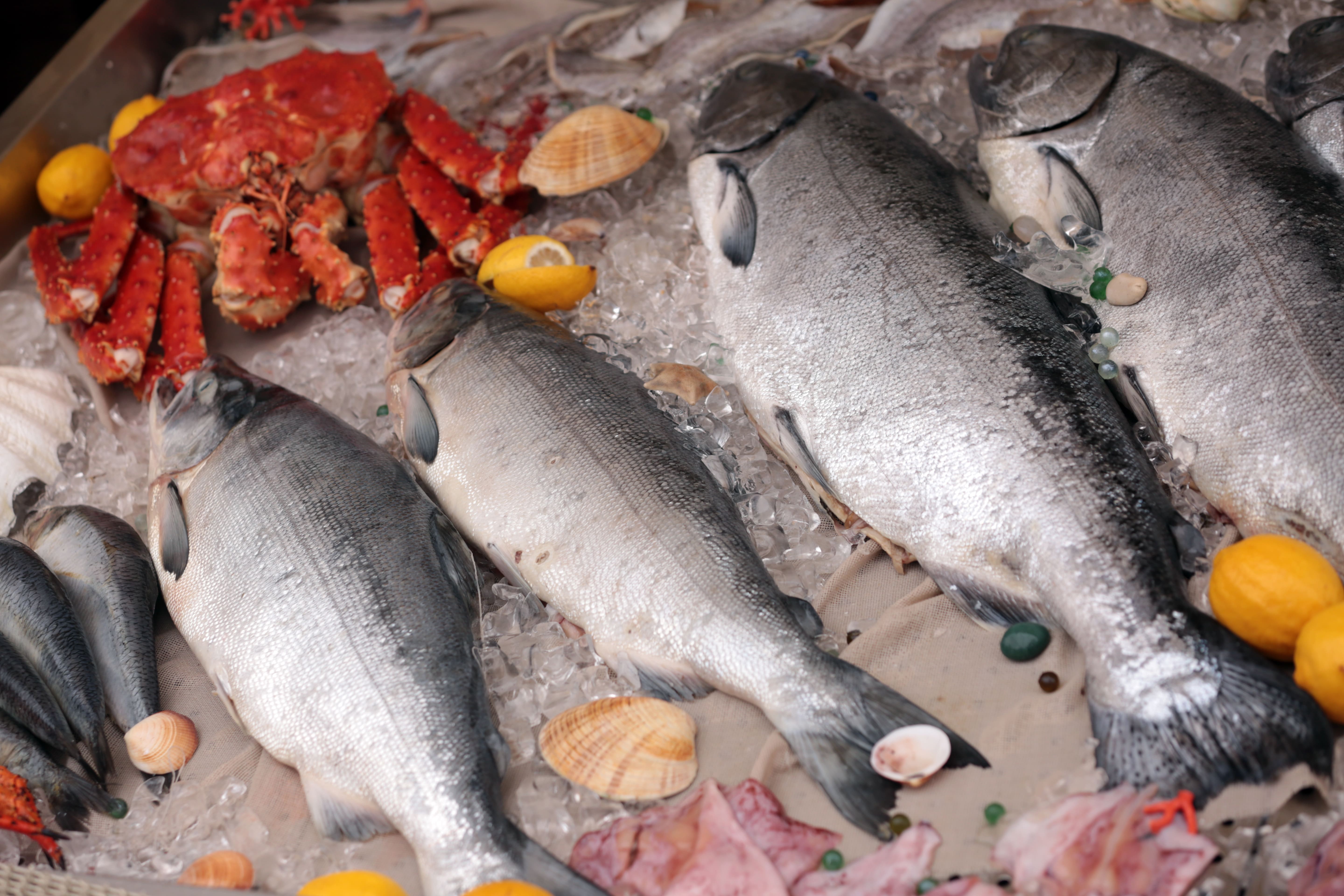 Почти тысячу тонн продукции аквакультуры произвели на Вологодчине