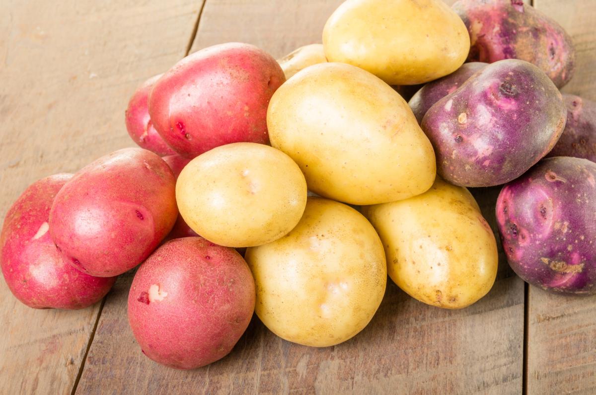 Квота на беспошлинный ввоз картофеля в РФ может быть увеличена в два раза