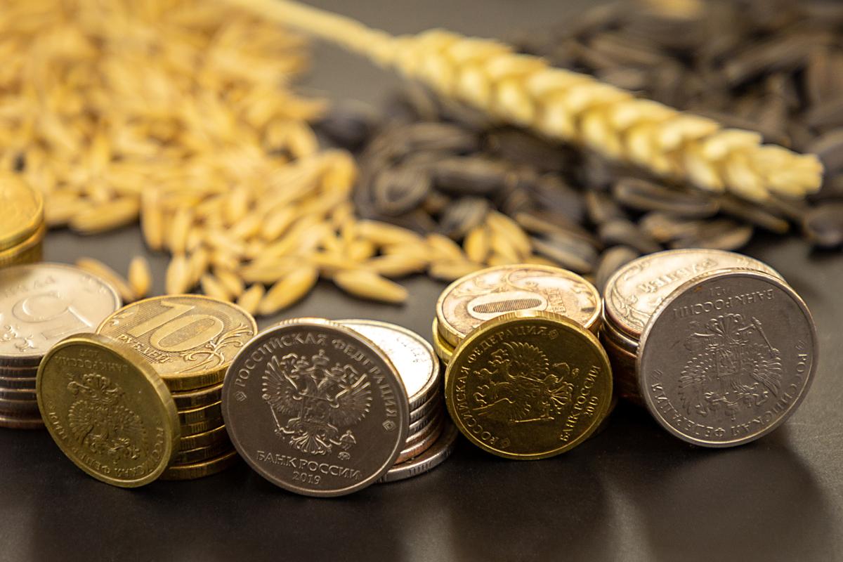 На субсидирование льготного кредитования в АПК РФ в 2023 году планируют направить 157,9 млрд руб.