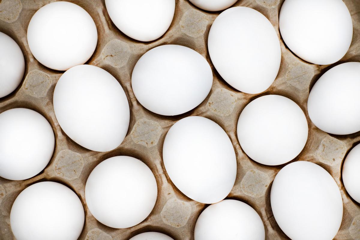 Обзор цен на куриные яйца в регионах ДФО