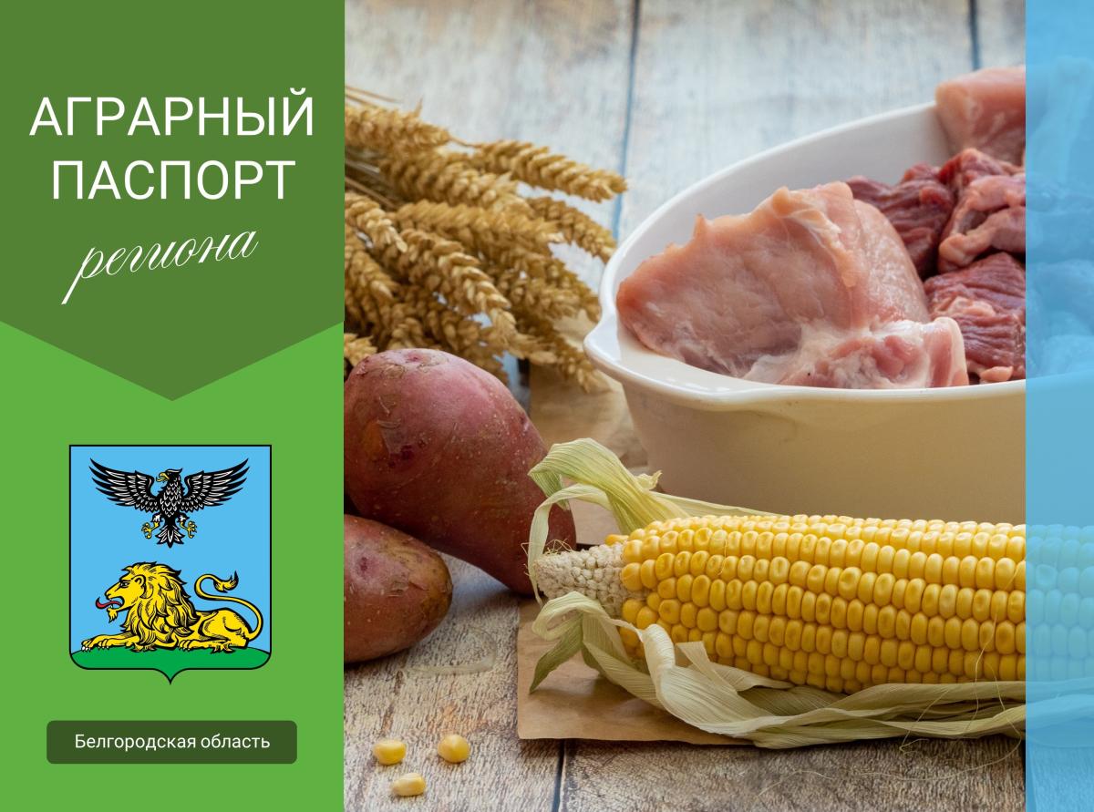 Белгородская область: «мясная житница» и перспективный растениеводческий регион