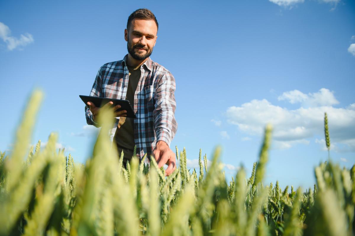 Средняя зарплата в сельском хозяйстве выросла на 22% за полугодие
