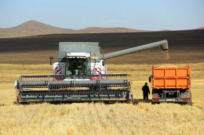 Более 50 тыс. тонн сельскохозяйственных культур экспортировали аграрии Забайкалья в 2024 году