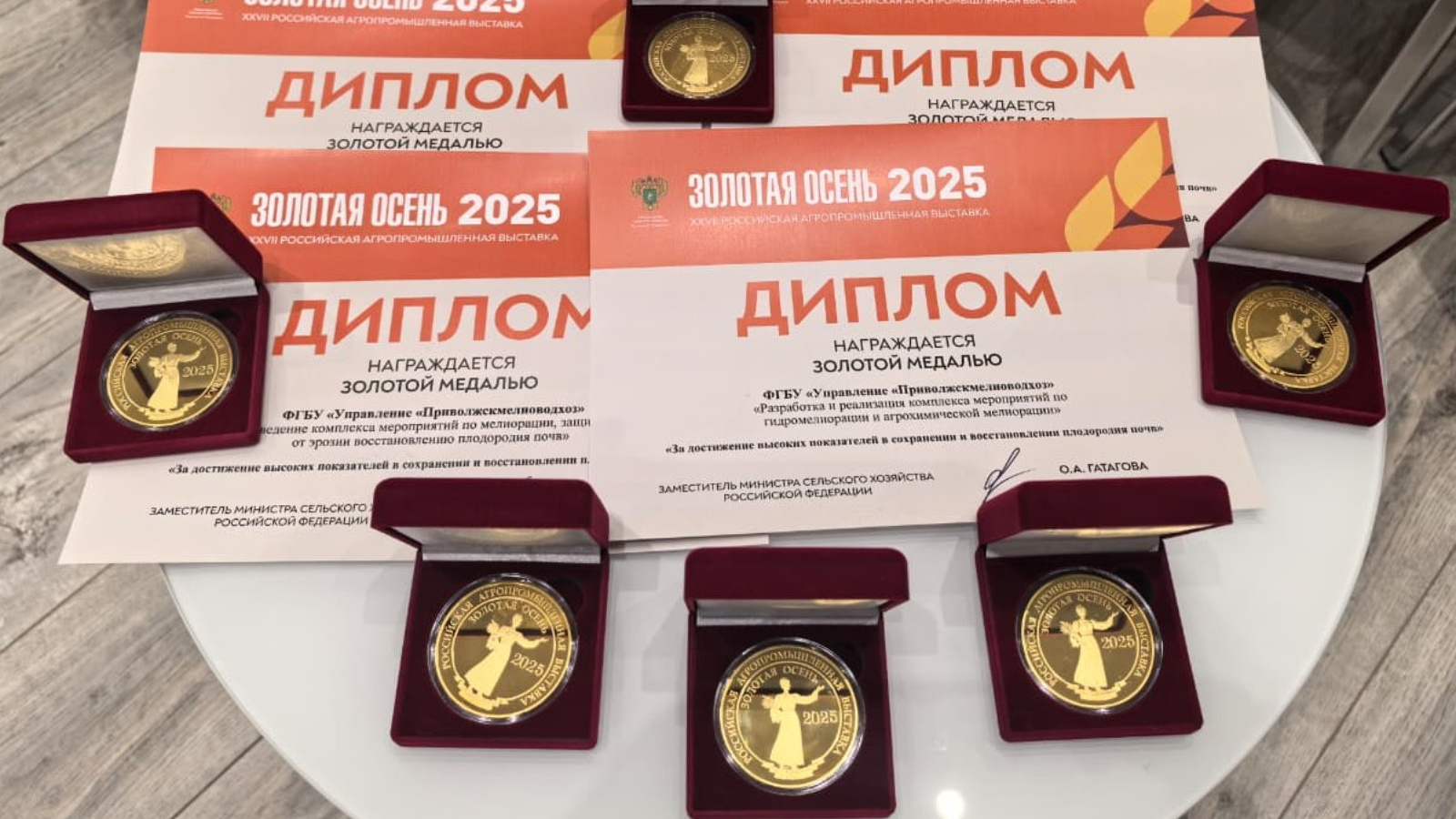 Мелиораторы и агрохимики Татарстана завоевали сразу 6 Золотых медалей на выставке «Золотая осень — 2025»