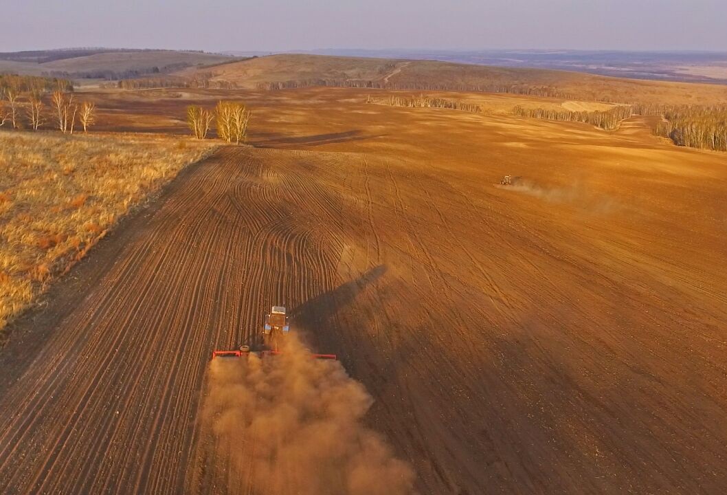 К 15 мая в Воронежской области яровыми было засеяно 1,1 млн га