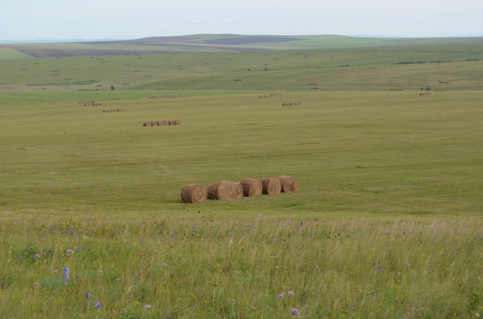Господдержка позволила в 1,5 раза увеличить площадь кадастровых работ в Забайкалье в 2024 году