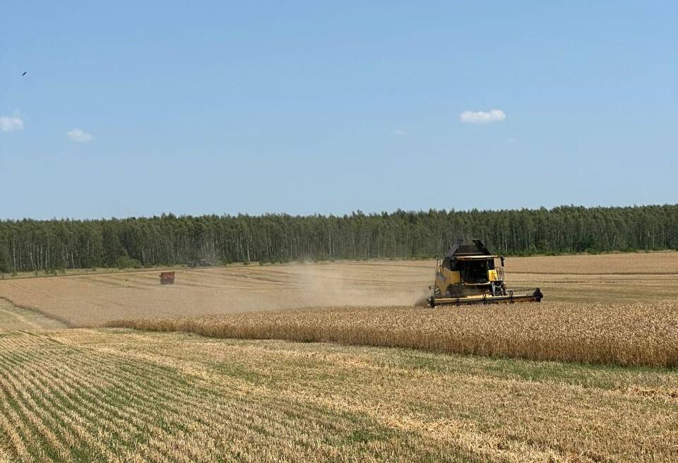 В Липецкой области стартовала уборочная кампания 
