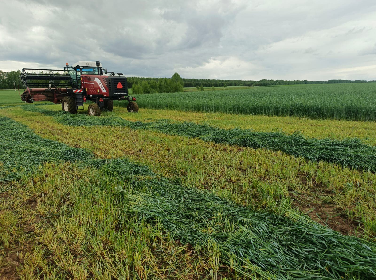 В Татарстане 8 районов приступили к кормозаготовке