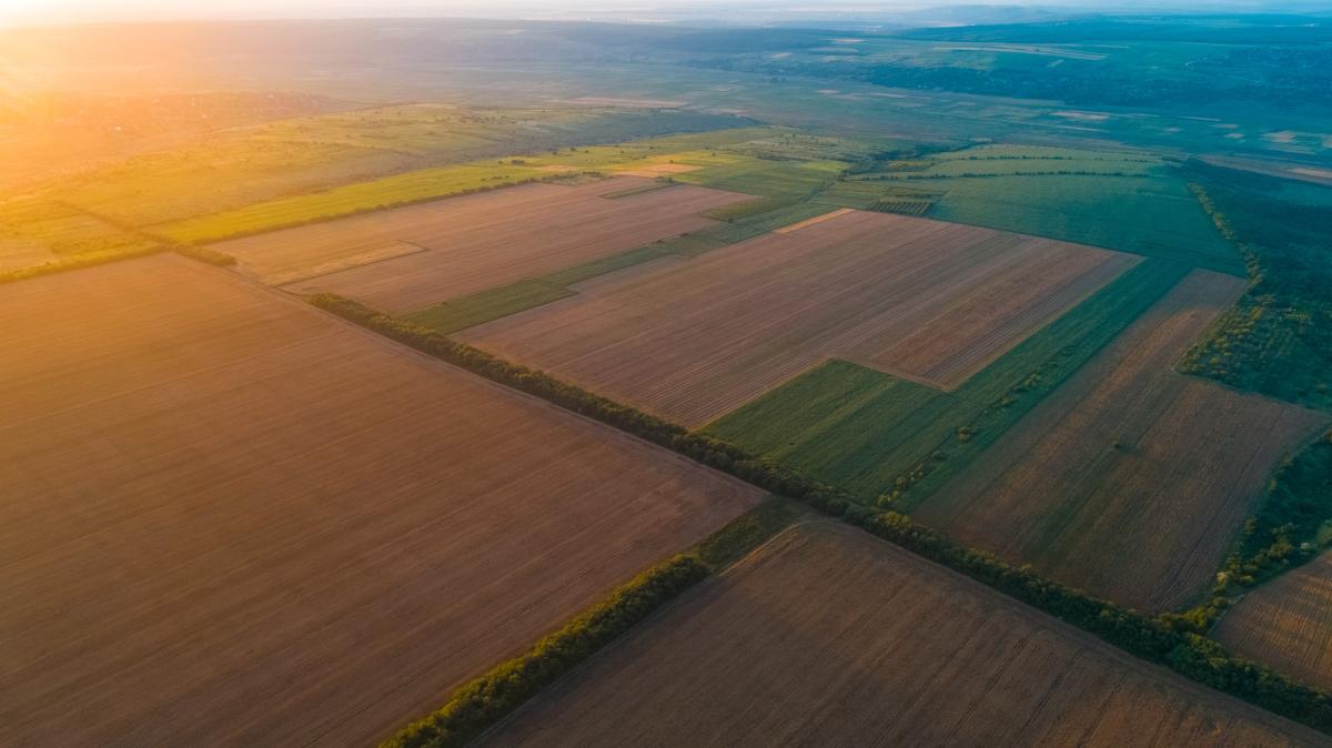 Минсельхоз России подготовил новый законопроект о землеустройстве