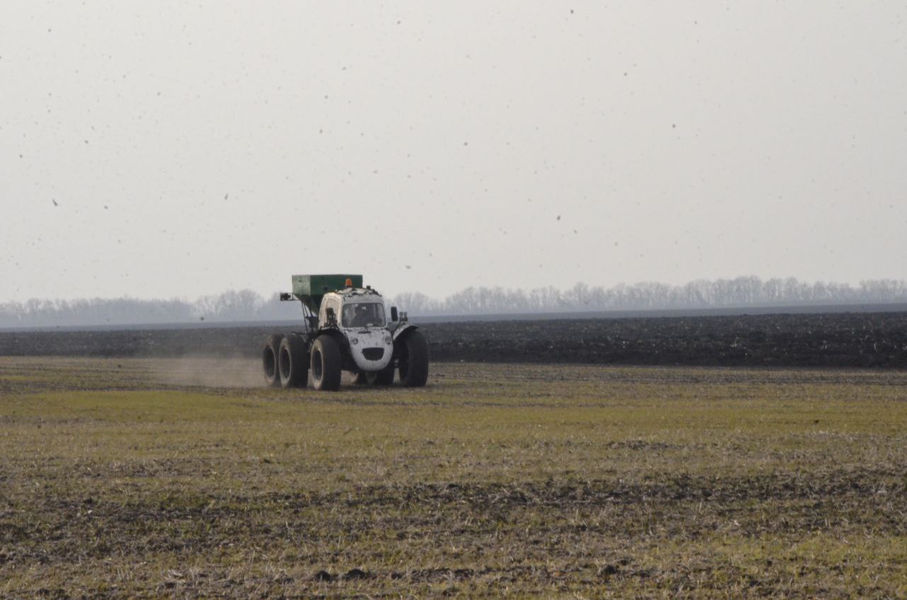 Подкормка озимых в Липецкой области идёт полным ходом