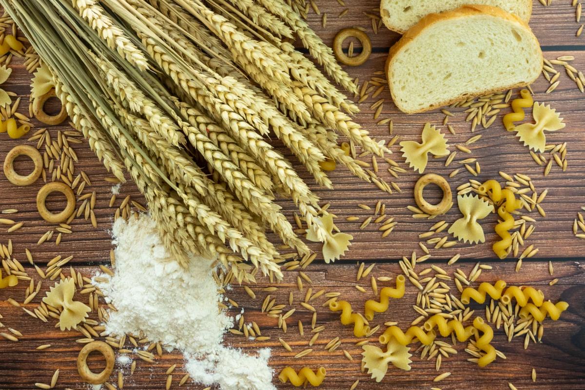 Обзор зерновой отрасли Оренбургской области