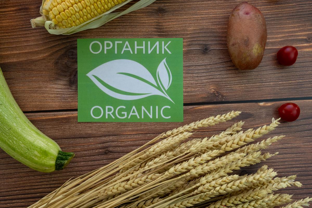 В России растет число производителей органических продуктов питания — РСХБ 