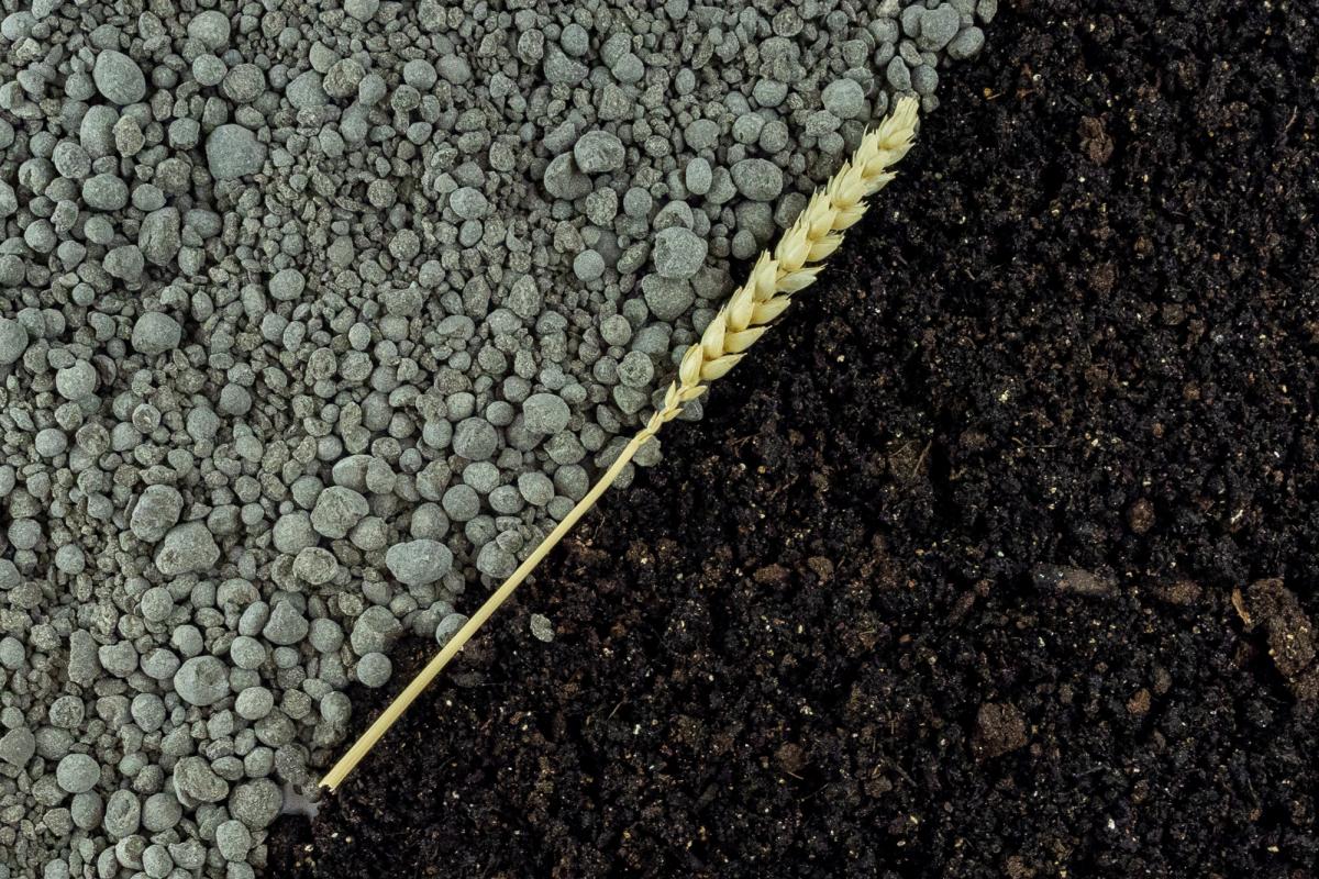 Кабмин РФ передал функцию регулирования оборота минудобрений Минсельхозу