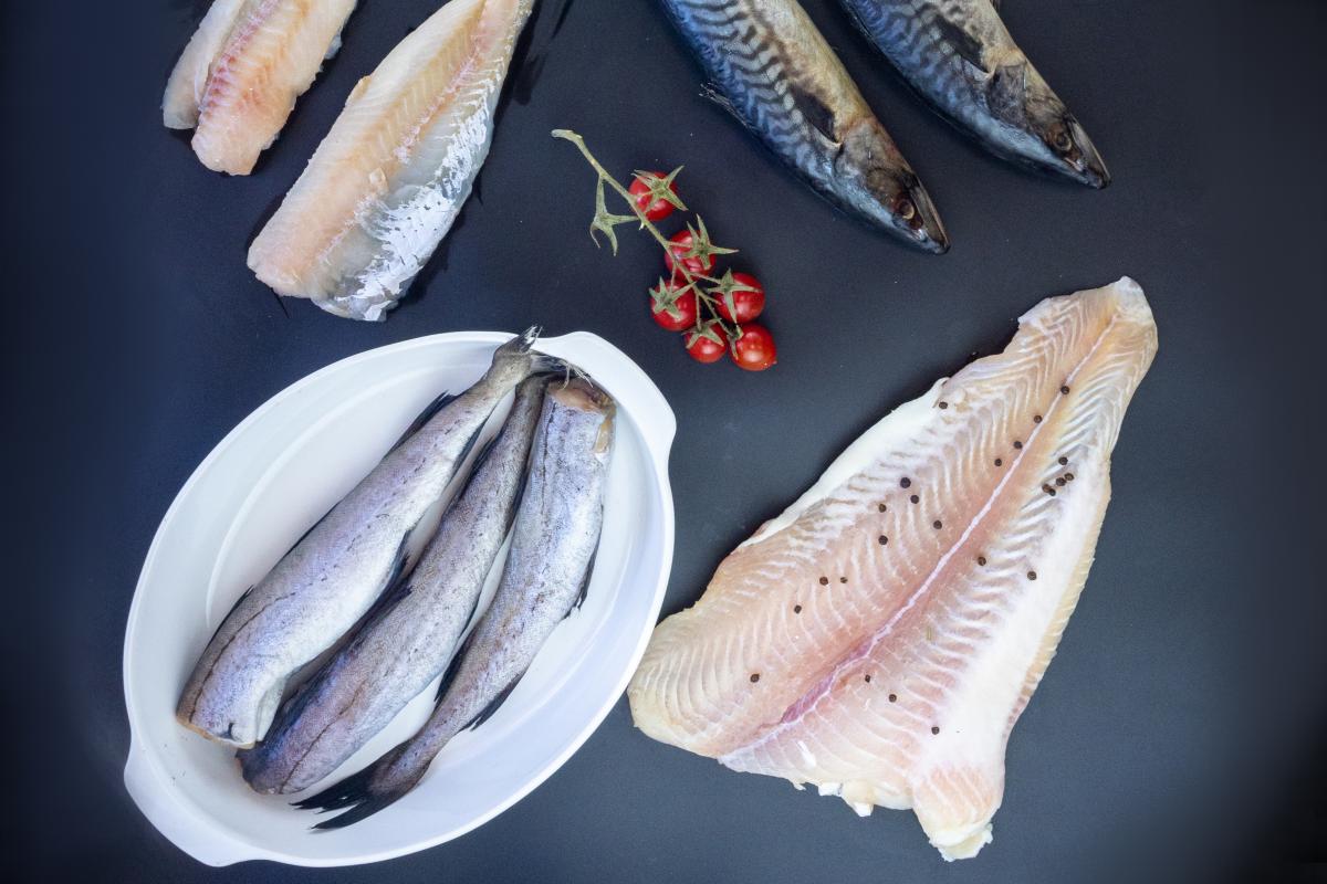 В России будут создавать и развивать бренд «Русская рыба»