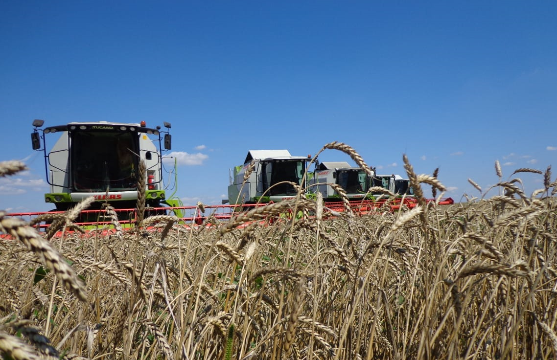 Производители зерновых культур Саратовской области получат дополнительную господдержку на 409,6 млн рублей