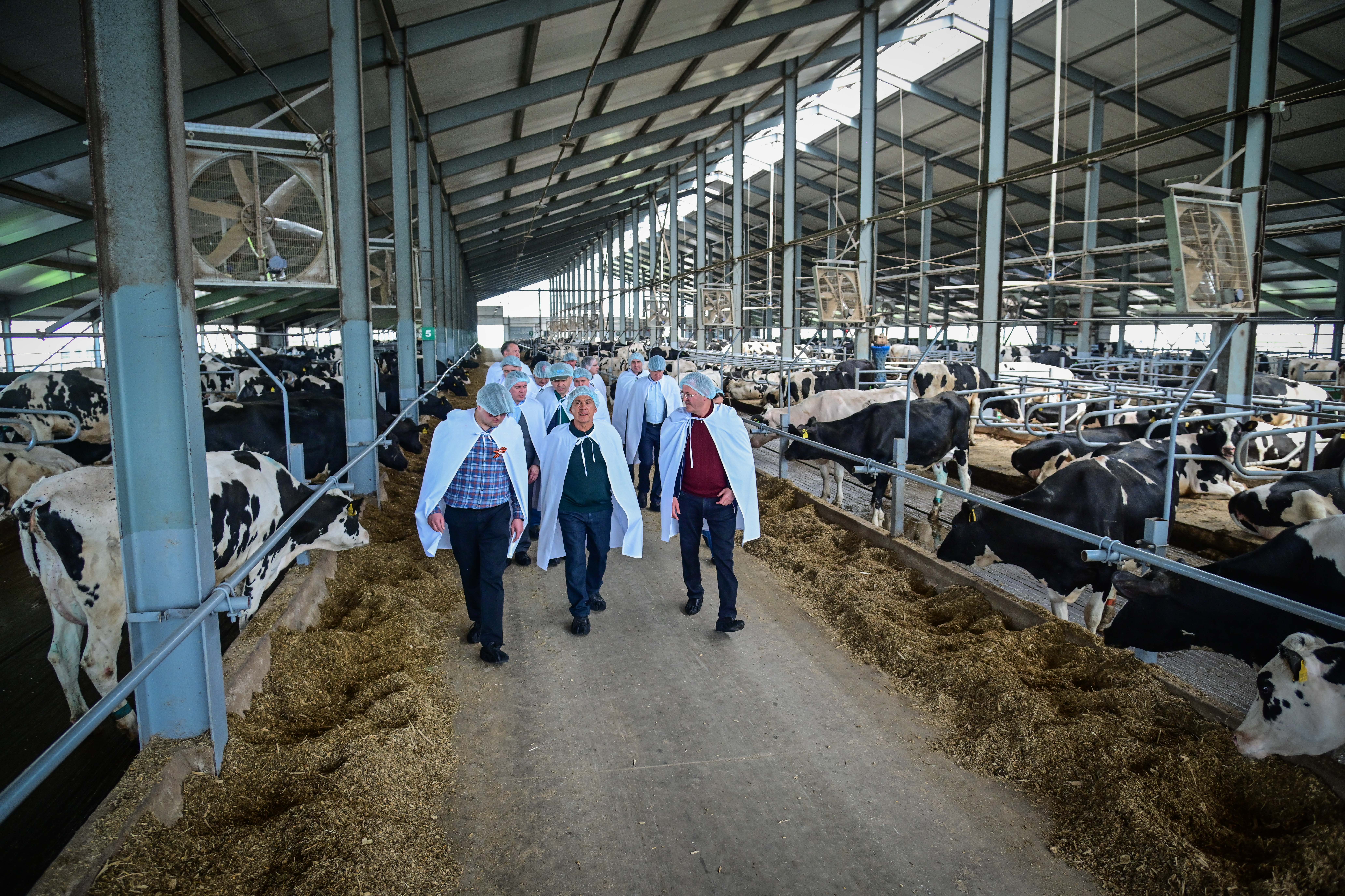 Рустам Минниханов и Марат Зяббаров с рабочей поездкой посетили муниципальные районы Татарстана