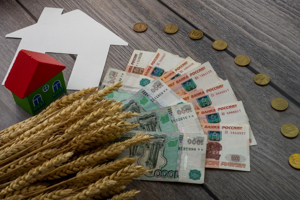 Более 3 млрд руб. было направлено на развитие АПК Чеченской Республики в 2023 году