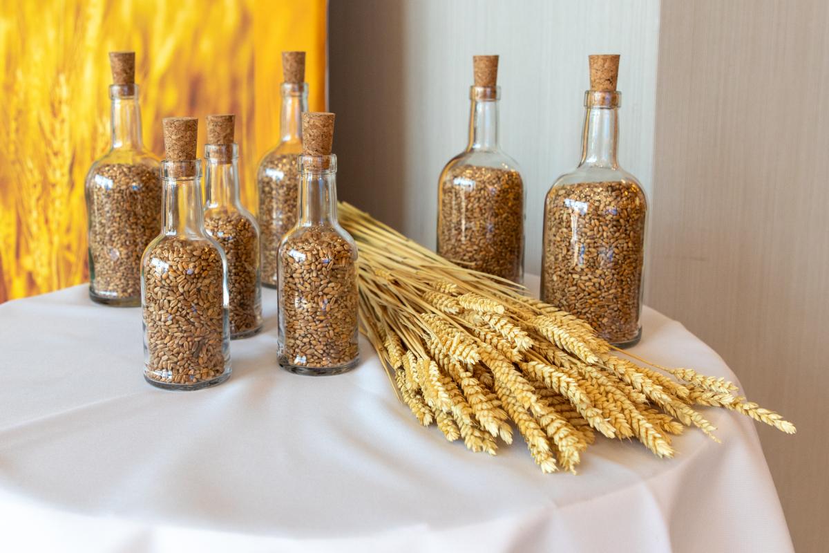  В Забайкалье доля семян отечественной селекции достигла почти 100%