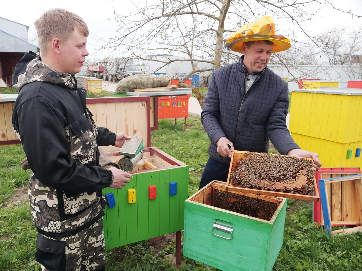 Фермеры Одинцовы из Ивановской области за сезон собирают до 25 тонн меда