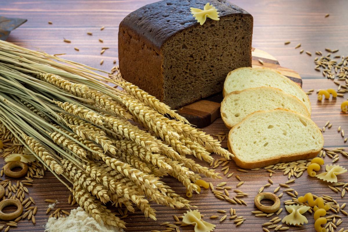 В 2025 году в Брянской области во ФГИС «Зерно» внесены сведения о 107 тыс. т продуктов зернопереработки