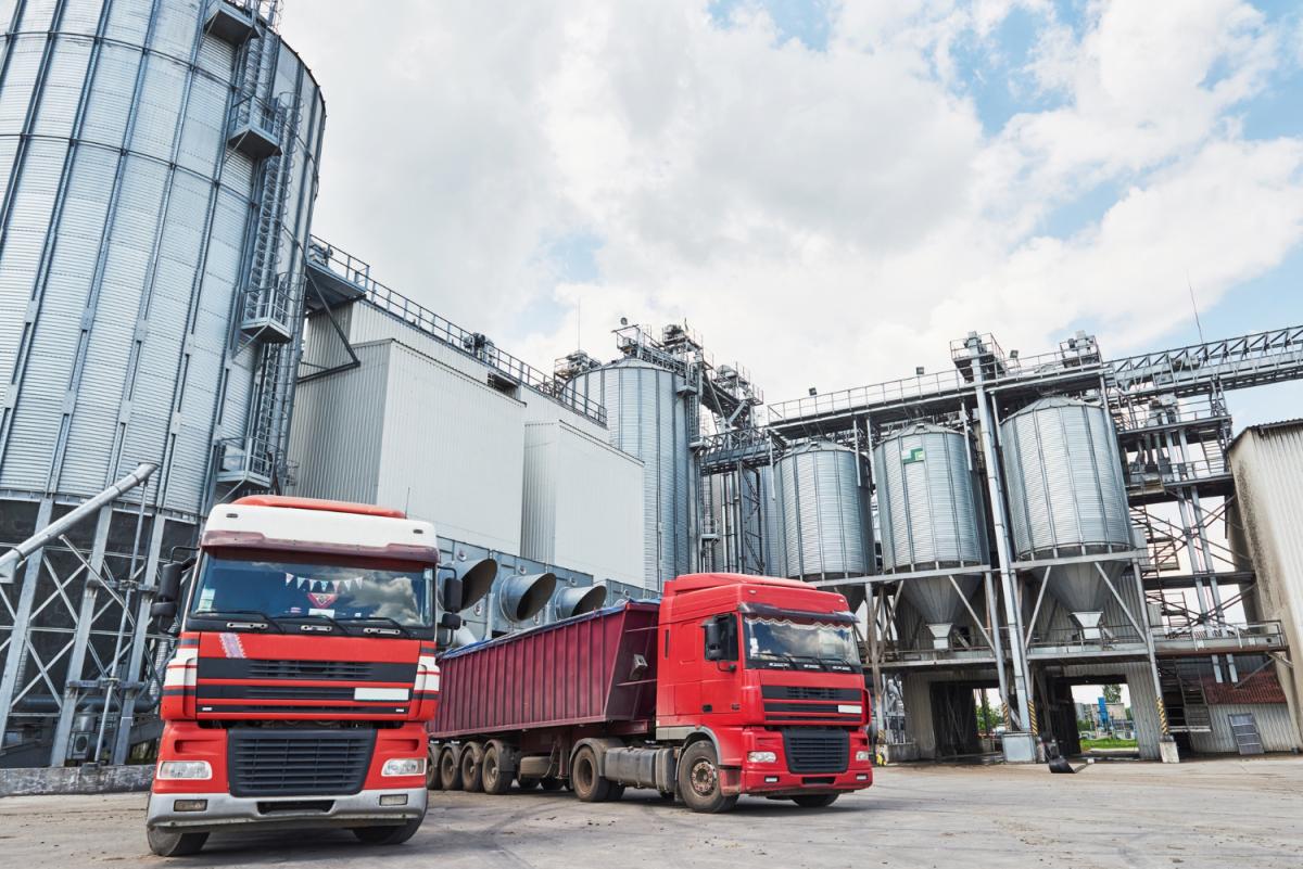 В России принимают меры по налаживанию транспортировки зерна
