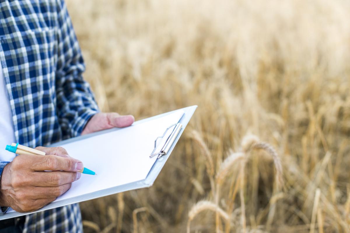 В Челябинске создали первую в России методику оценки возможности сева зерновых на загрязненной земле