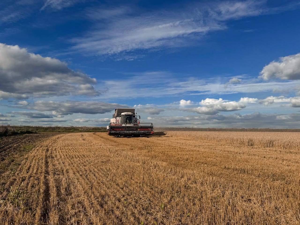 Министр сельского хозяйства и продовольствия Московской области Сергей Двойных с рабочим визитом посетил комплекс ЗАО «Куликово»