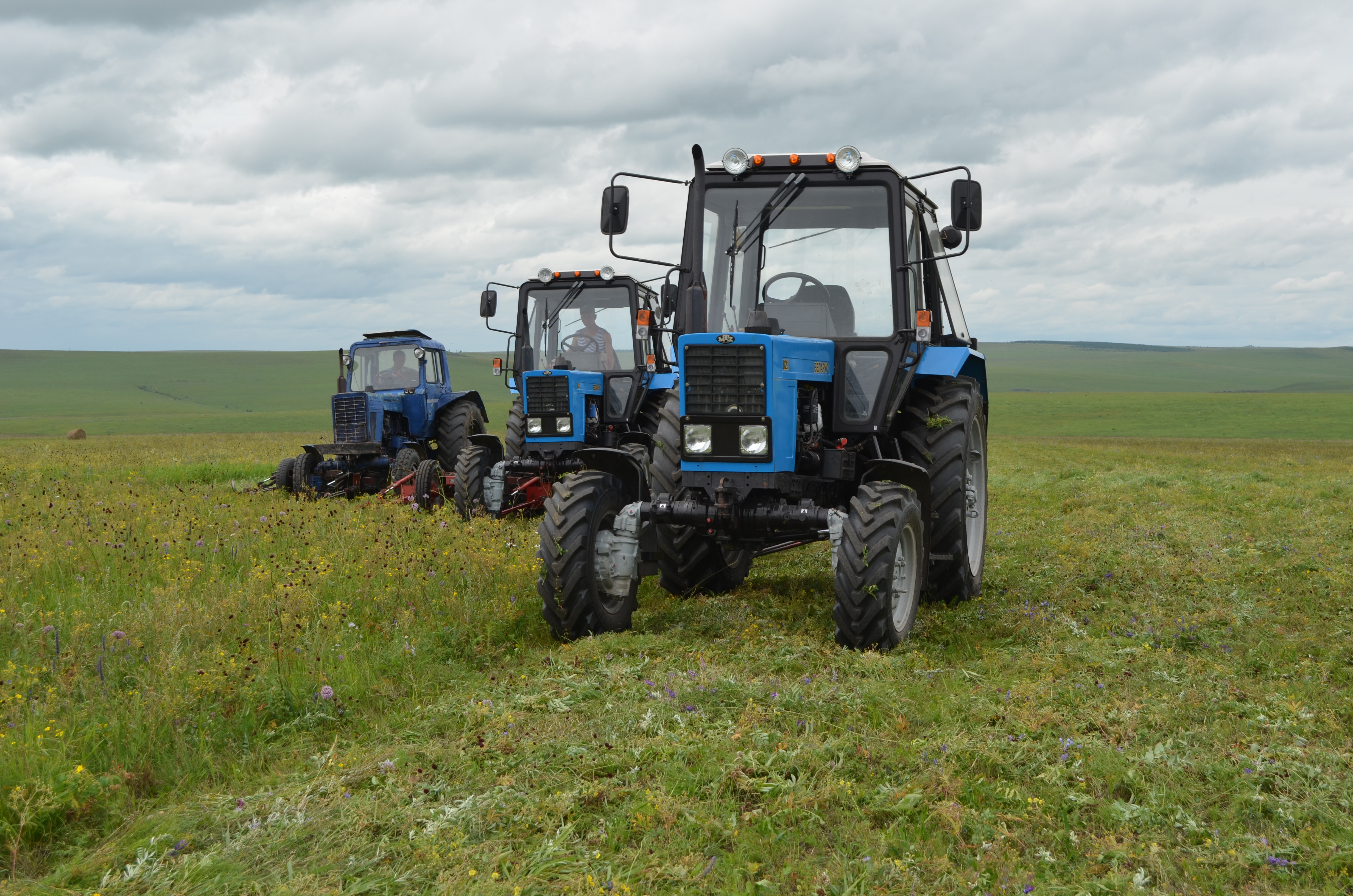 Фермеры Забайкалья до конца года создадут почти 30 рабочих мест