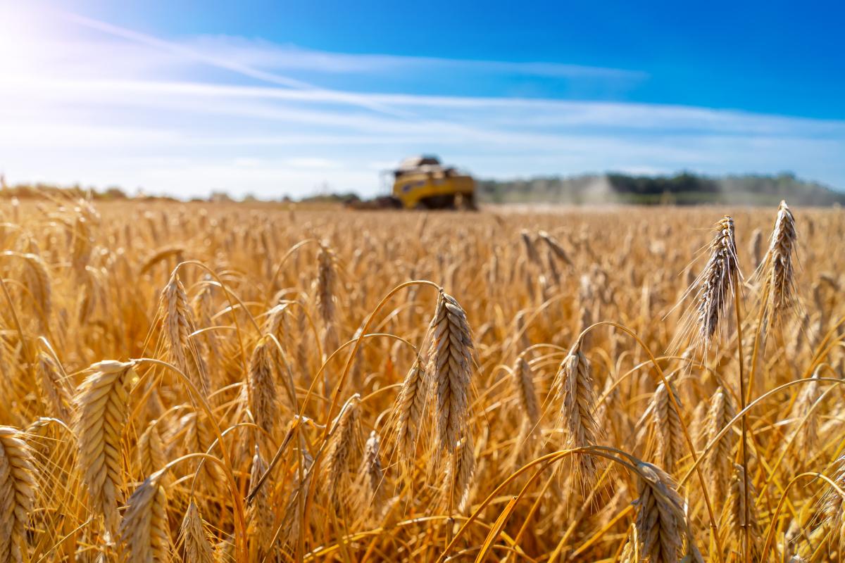 ФГИС «Зерно» будет интегрирована с информационными системами стран ЕАЭС