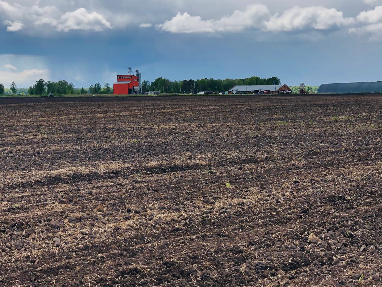 Томские фермеры развивают хозяйства с помощью грантовой поддержки