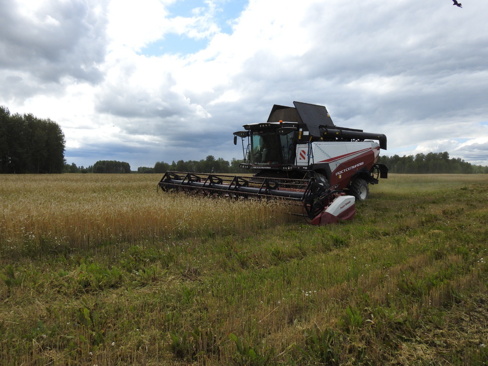 Томской области стартовала уборочная кампания