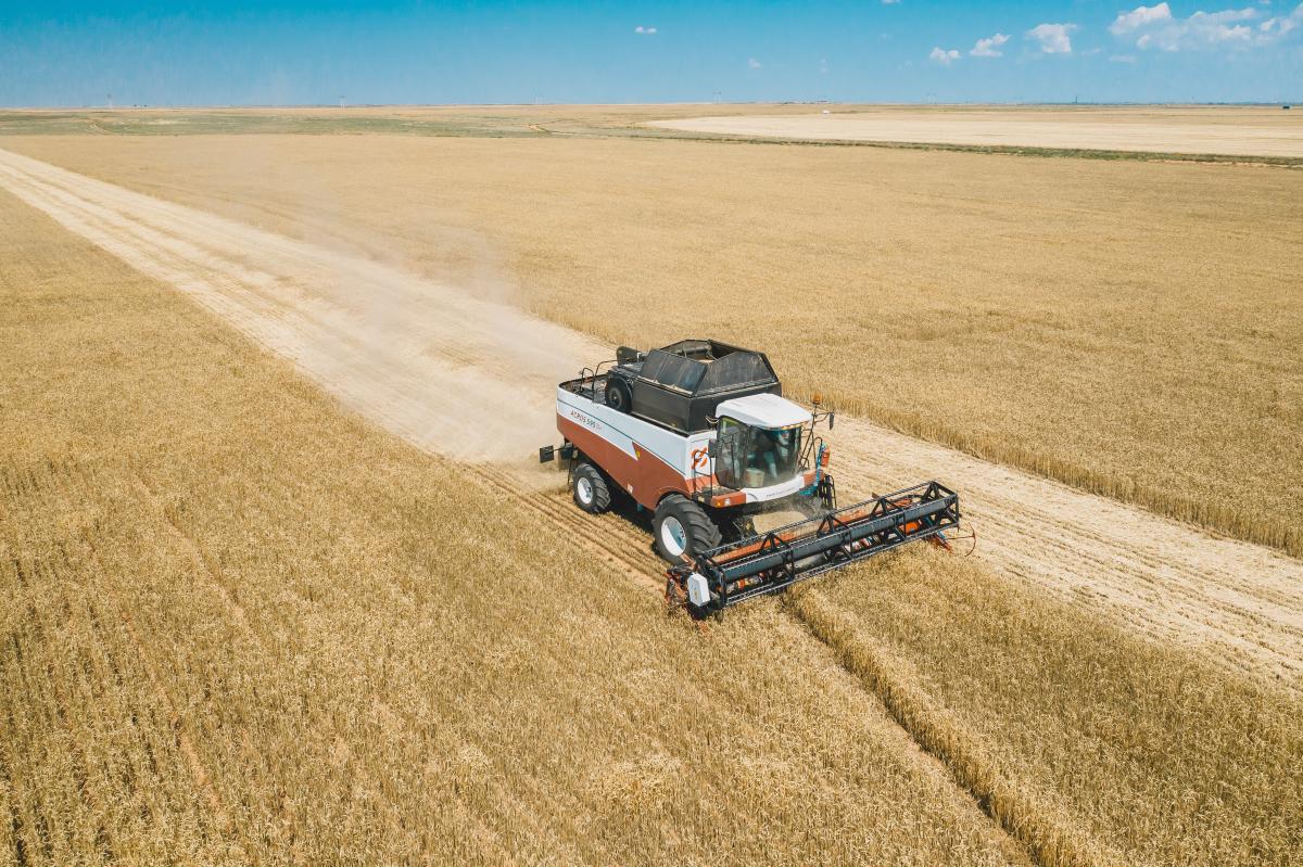 Патрушев: в России стартовала уборочная кампания