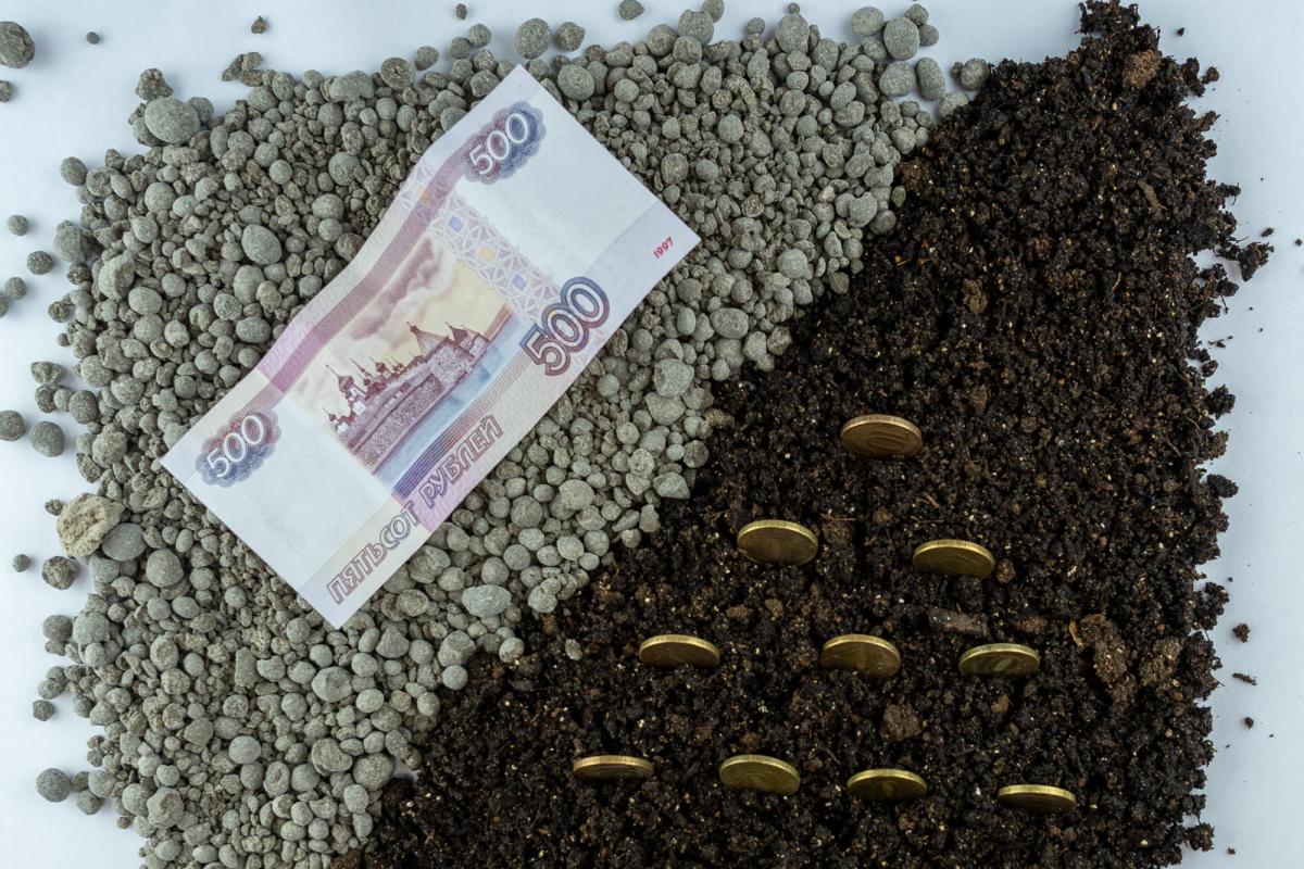 В Орловской области в 2025 году в 4,7 раза увеличены субсидии на мелиорацию 