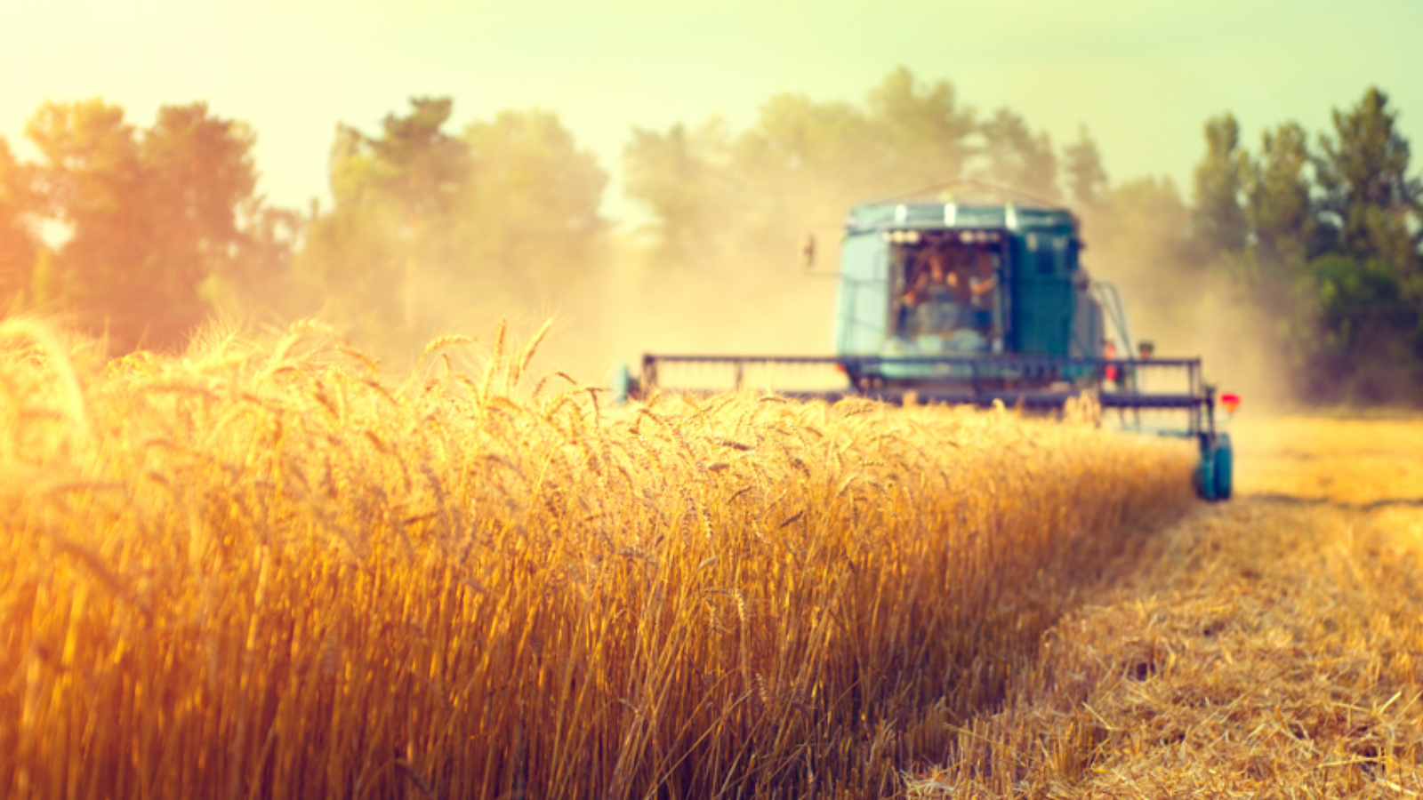 В Татарстане увеличено финансирование сезонно-полевых работ