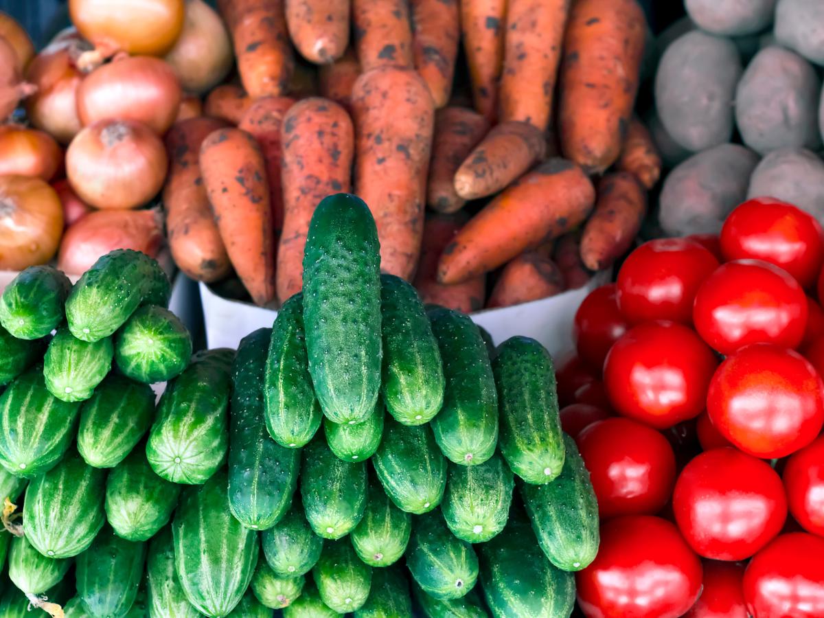 Рост посевных площадей под овощи открытого грунта в РФ будет способствовать стабилизации цен — Минсельхоз